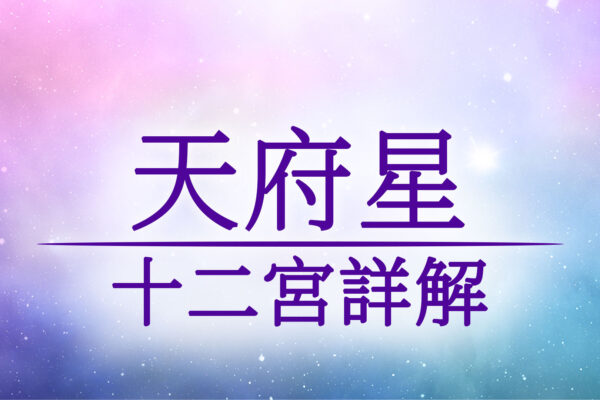 《紫微斗數 十四主星介紹》天府星介紹與坐十二宮位詳解/優點/缺點/顏色/命宮/兄弟宮/夫妻宮/子女宮/財帛宮/疾厄宮/遷移宮/交友宮/奴僕宮/僕役宮/事業宮/官祿宮/田宅宮/福德宮/父母宮